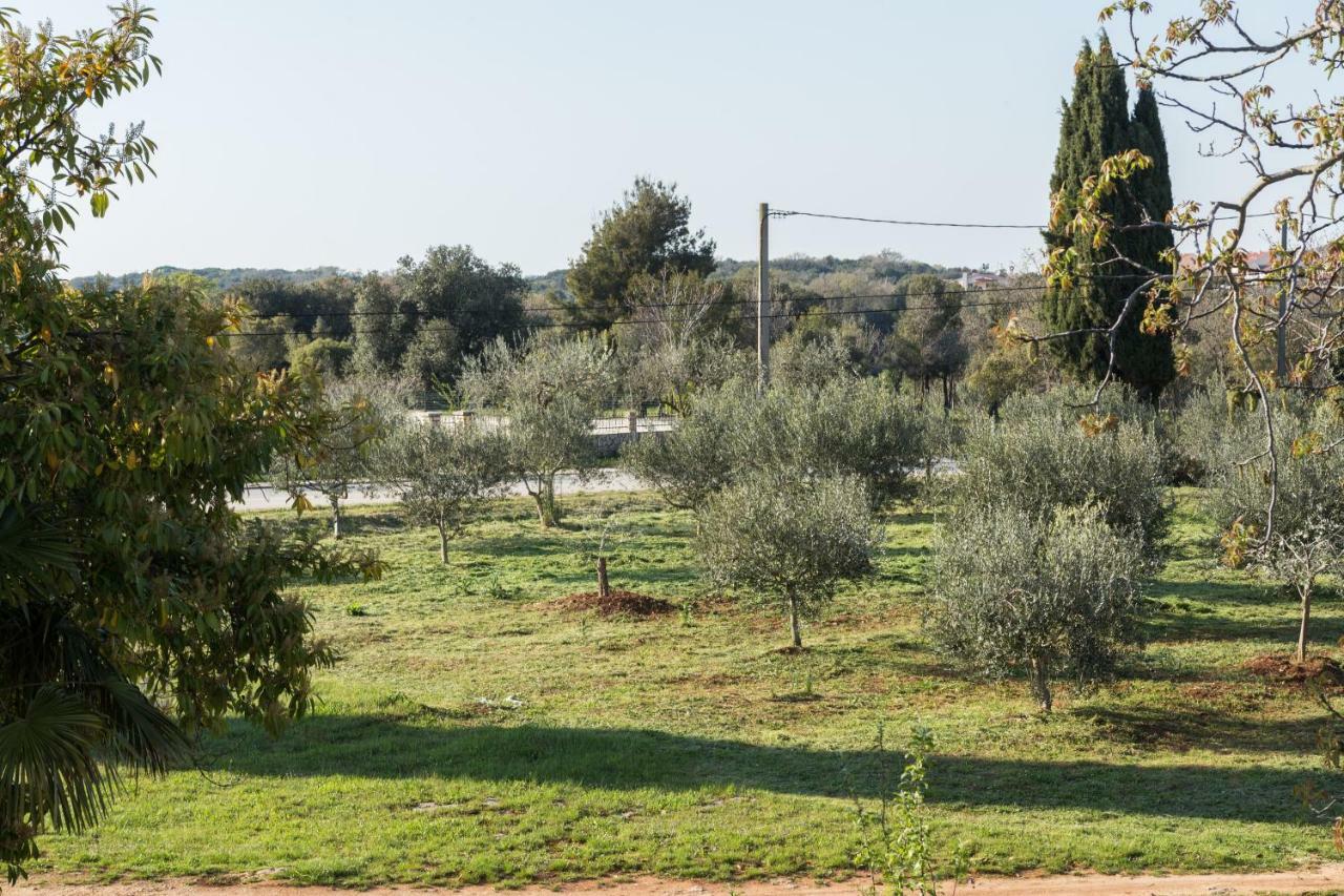 Studio Andrea Rovinj Exterior foto